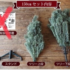 クリスマスツリーの画像