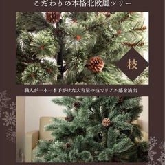 クリスマスツリーの画像