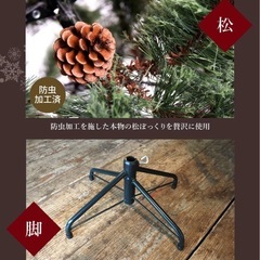 クリスマスツリーの画像