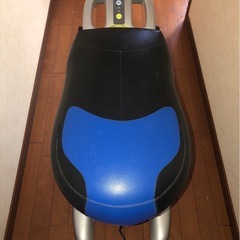 スライヴ ロデオボーイII エクササイズ機器の画像
