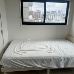 セミダブルベットの画像