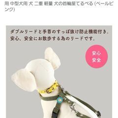 ダブルリード　未使用の画像