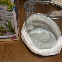 水槽の画像
