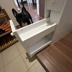 トイレの棚の画像