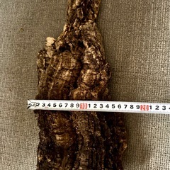 【お話中】コルクの板　40センチの画像
