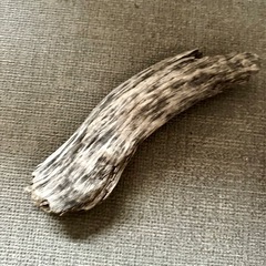 流木　長さ30センチの画像