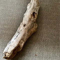 流木　35センチの画像