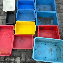 引取限定　コンテナ13個　まとめ売りの画像