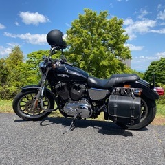 ハーレー　スポーツスターXL1200L  インジェクションの画像