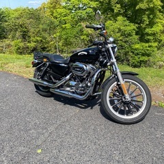 ハーレー　スポーツスターXL1200L  インジェクションの画像