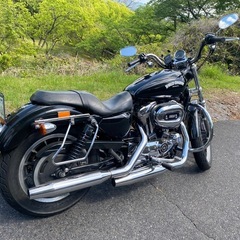 ハーレー　スポーツスターXL1200L  インジェクションの画像