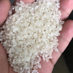 限定残り1袋‼️
の画像