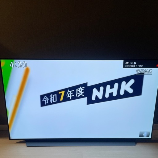LG有機elTV OLED55CXPJA