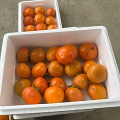 柿 20個600円　とても甘いです　甘柿　果物　秋の味覚の画像