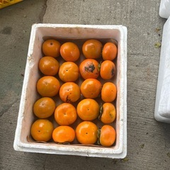柿 20個600円　とても甘いです　甘柿　果物　秋の味覚の画像