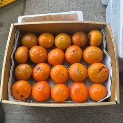 柿 20個600円　とても甘いです　甘柿　果物　秋の味覚の画像