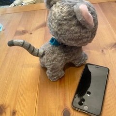 ネコのおもちゃ
の画像