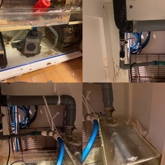 オルカT-60  ガラスオーバーフロー 水槽＋アクリル濾過水槽セット（水槽台なし）の画像