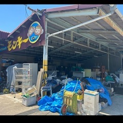 モンキーフリーマーケット　朝9時より