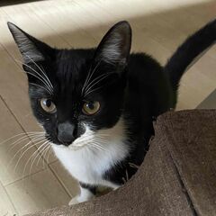 人見知りの男の子です