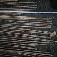 冬囲　竹　40本位　180cm〜240cmの画像
