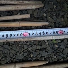 冬囲　竹　40本位　180cm〜240cmの画像
