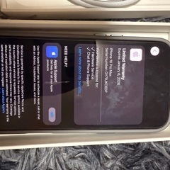 📱 iPhone 16 Pro Max 256GB – ブラックチタニウム（SIMフリー）の画像