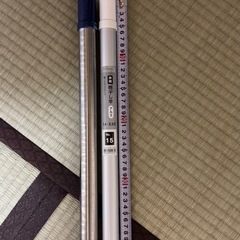 【本日回収に来てくれる方には無料で譲ります】ステンセス製　物干し竿の画像