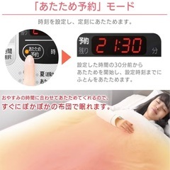 アイリスオーヤマ 布団乾燥機(定価:11,000円)の画像
