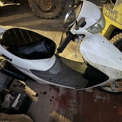AF35 ライブディオZX 不動車の画像