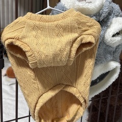 小型犬用ふく服の画像