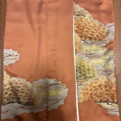 【10/29まで】着物の画像