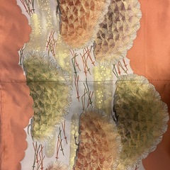 【10/29まで】着物の画像