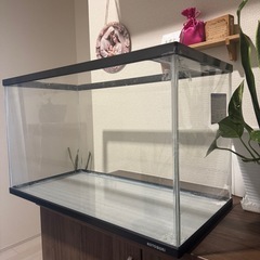 🐠水槽販売しますの画像