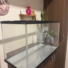 🐠水槽販売しますの画像