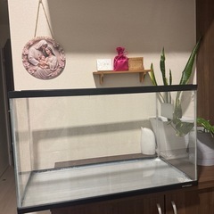 🐠水槽販売しますの画像