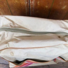 ヴィンテージ　American Express Vacations フライトバッグの画像