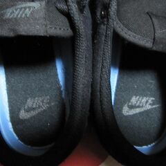 NIKE チャージスエード　２６ｃｍの画像