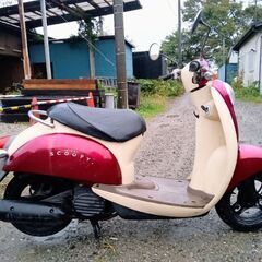 非常に良いエンジンです。ホンダ（スクーピー）AF55。バッテリーは新品です。リアブレーキパッドも新品です。フロントブレーキパッドも新品です。水冷式バイクです。の画像