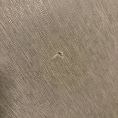 珪藻土バスマットの画像