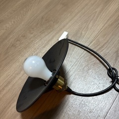 アイリスオーヤマの照明の画像