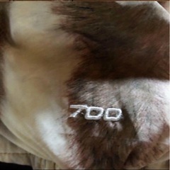 ヌプシ　ちくわの画像