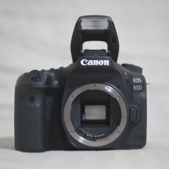 EOS 90D EF-S18-135 IS USM レンズキットの画像