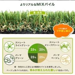 “10年使える”超高密度 リアル人工芝 1×10m  [ 単品 ] 芝丈25mm U字ピン 24本 ロール  一体型 高耐久 高密度 リアル 人工芝の画像
