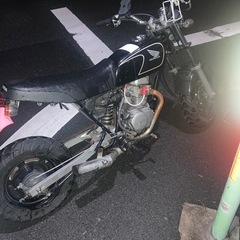 エイプ50の画像