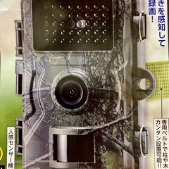 トレイル
防犯カメラの画像