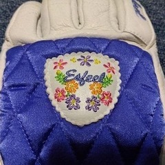 Esfeel エスフィール スキー スノーボード グローブ Lサイズの画像