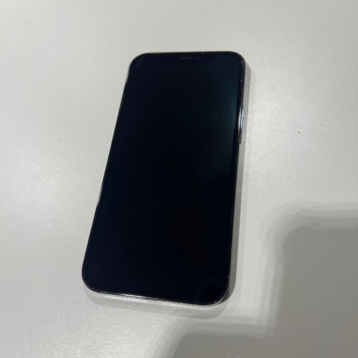 iPhone12Pro 256GB 【取引終了】
