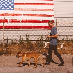 アメリカ西部
ユタ州のアウトドアブランド　愛犬の為のカラー の画像
