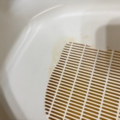 猫 トイレの画像